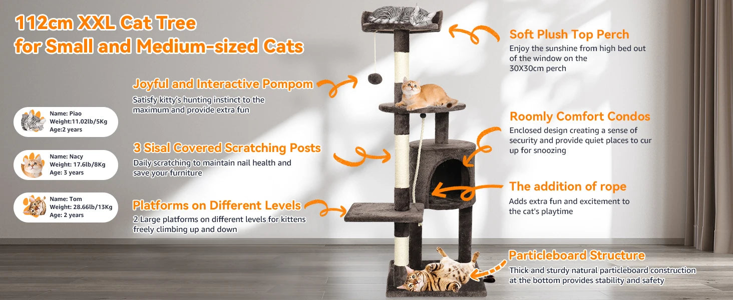 Passerscat Cat Trees Cat Climbing Frame For Indoor Cats Multi-Level With Scratching Posts Cat Tower Padded Top Perches and Condo by PawHaven