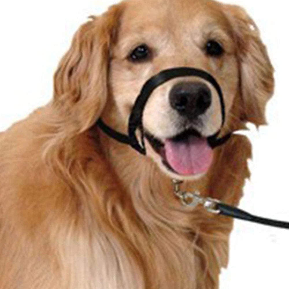 S-XXL Dog Halter Halti Training Head Collar Gentle Leader Harness Nylon Collars by PawHaven