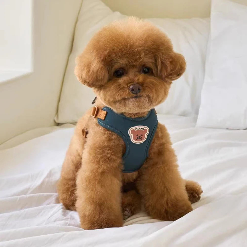 Cute Bear Pet Harness Leash Set Dog Vest Harness Strap Adjustable Breathable Harness for Puppy Cat Dog Supplies by PawHaven