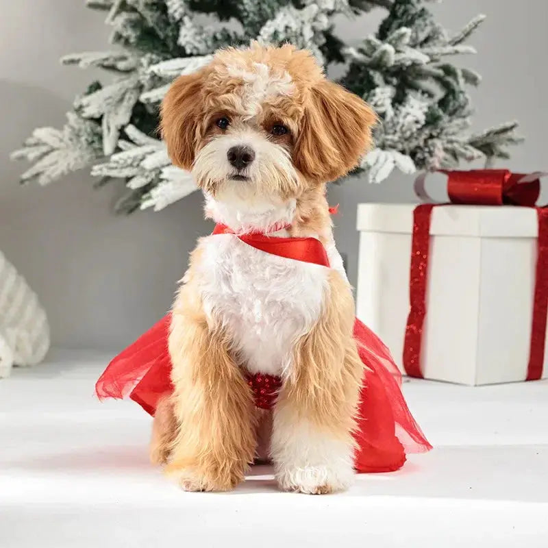 Bow & Belt Design Christmas Sequin Tutu Dog Dress, Red Velvet Halter Skirt, Holiday Pet Outfit for Small/Medium Dogs, by PawHaven
