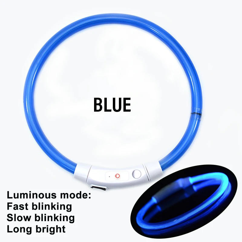 AuroraLux LED Night Collar For Dogs And Cats With 3 Modes by PawHaven