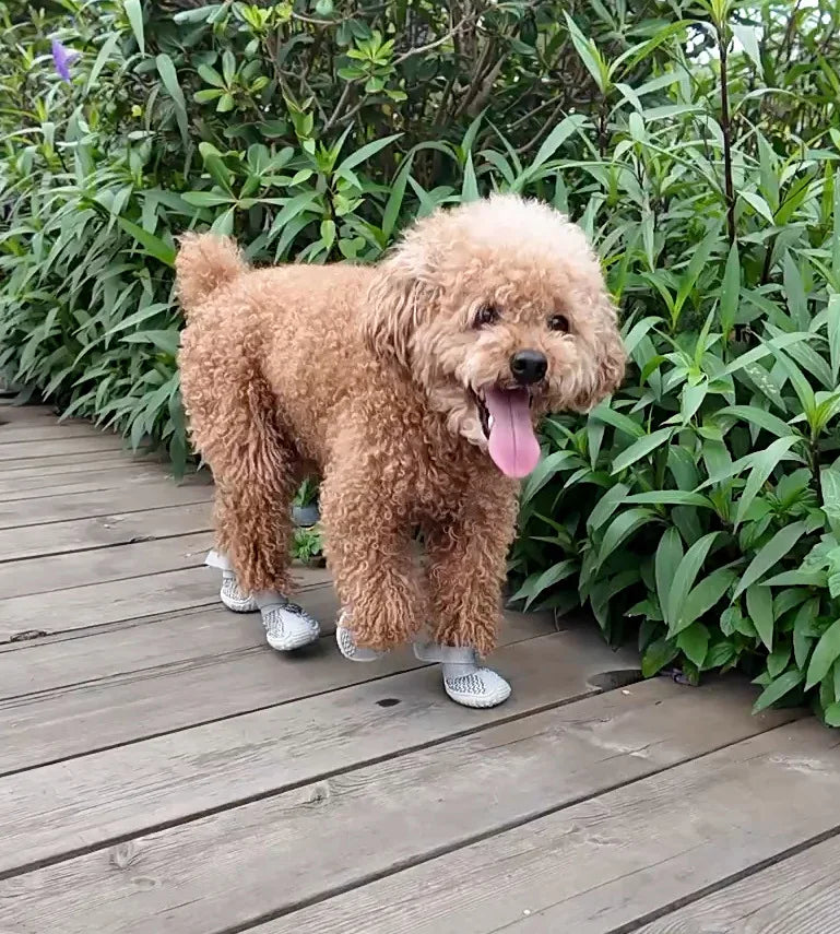 Comfortable Breathable Mesh Dog Shoes, Easy Wear Pet Footwear for Puppies and Small Dogs by PawHaven