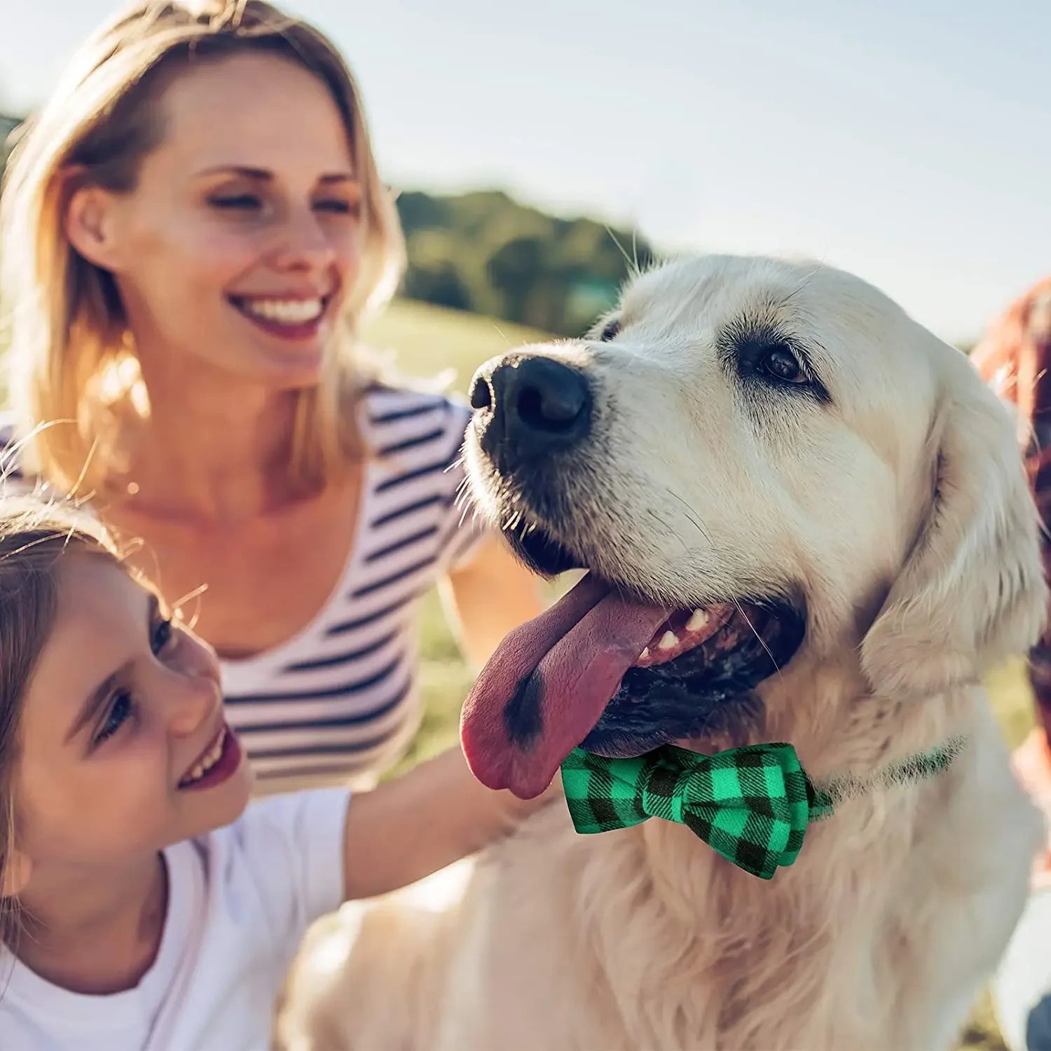 Premium Adjustable Plaid Bow Tie For Dogs And Cats by PawHaven