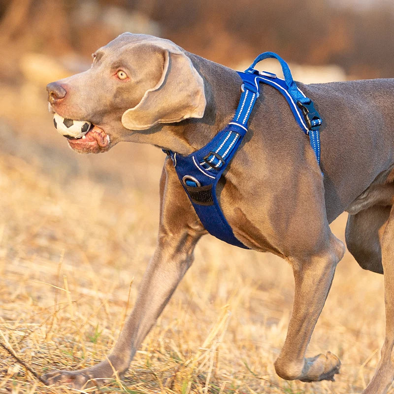 Premium Reflective Dog Vest Harness With Nylon Padding by PawHaven