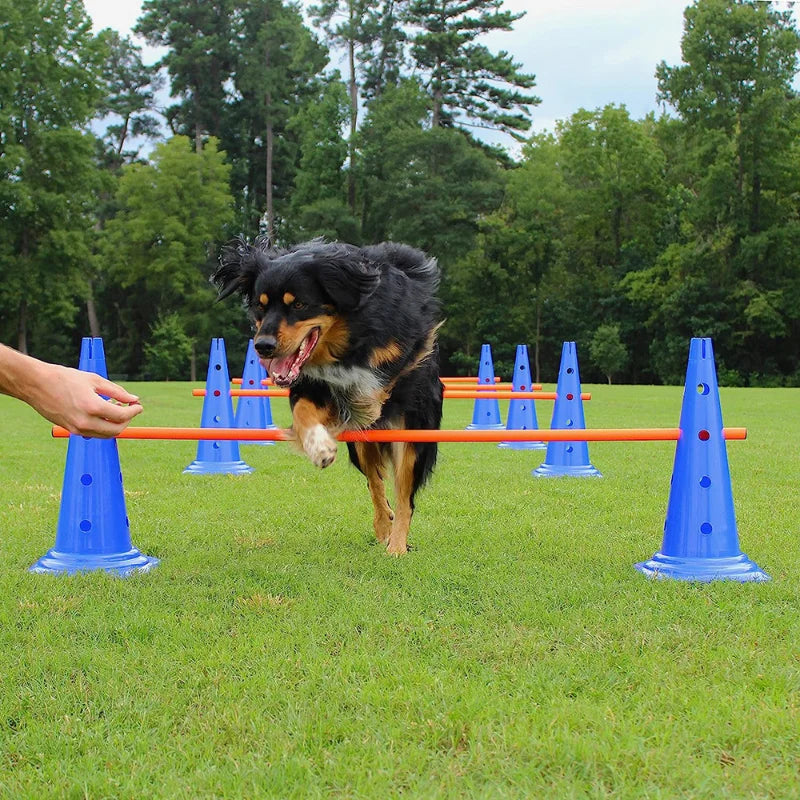 Pet Agility Training Set Jumping Bar Dog Obstacle Training Equipment Hurdle Training Dog Training Device Pet Supplies by PawHaven