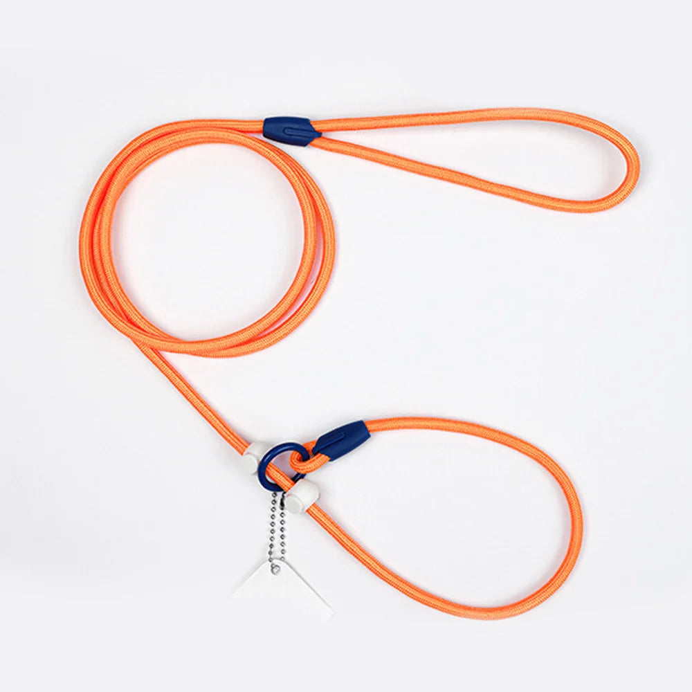 Nylon Colourful Leashes Pet Small Dog Round Rope Lead P Chain Collar Adjustable for Dogs Training Puppy Walking Leash by PawHaven