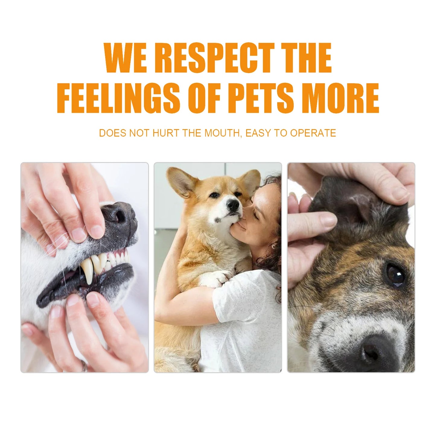 50PCS/set Pet Non-woven Tooth Wipes Cotton Finger Wipes Healthy Oral Care Supplies for Cat Dog ttoothbrush Cat pet Cleaning by PawHaven