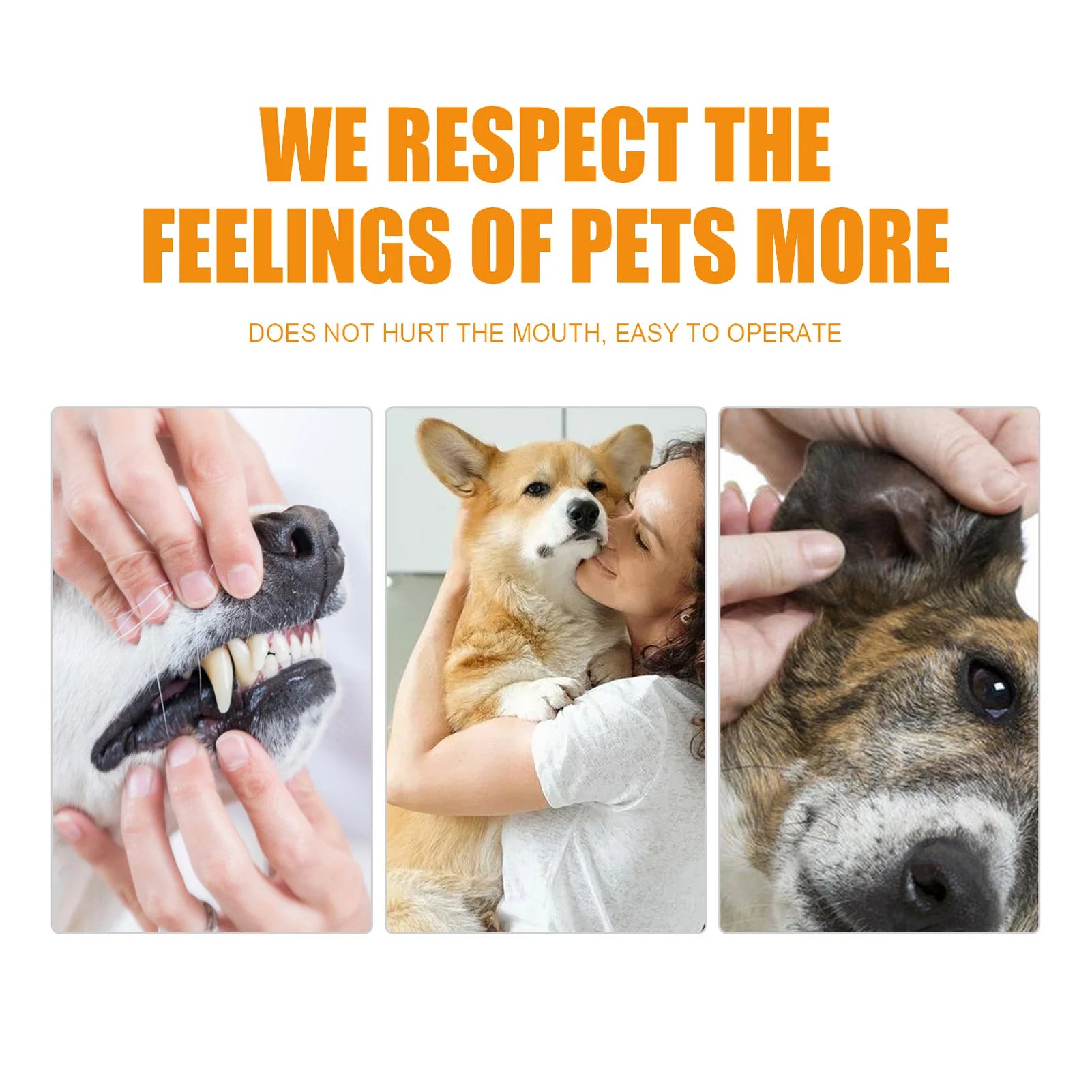 50PCS/set Pet Non-woven Tooth Wipes Cotton Finger Wipes Healthy Oral Care Supplies for Cat Dog ttoothbrush Cat pet Cleaning by PawHaven