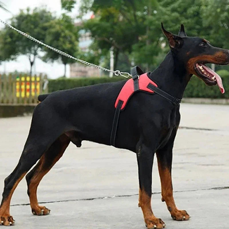 Adjustable Dog Harness Pet Large Dog Walk Out Harness Vest Collar for Small Medium Large Dogs Pets Accessories by PawHaven