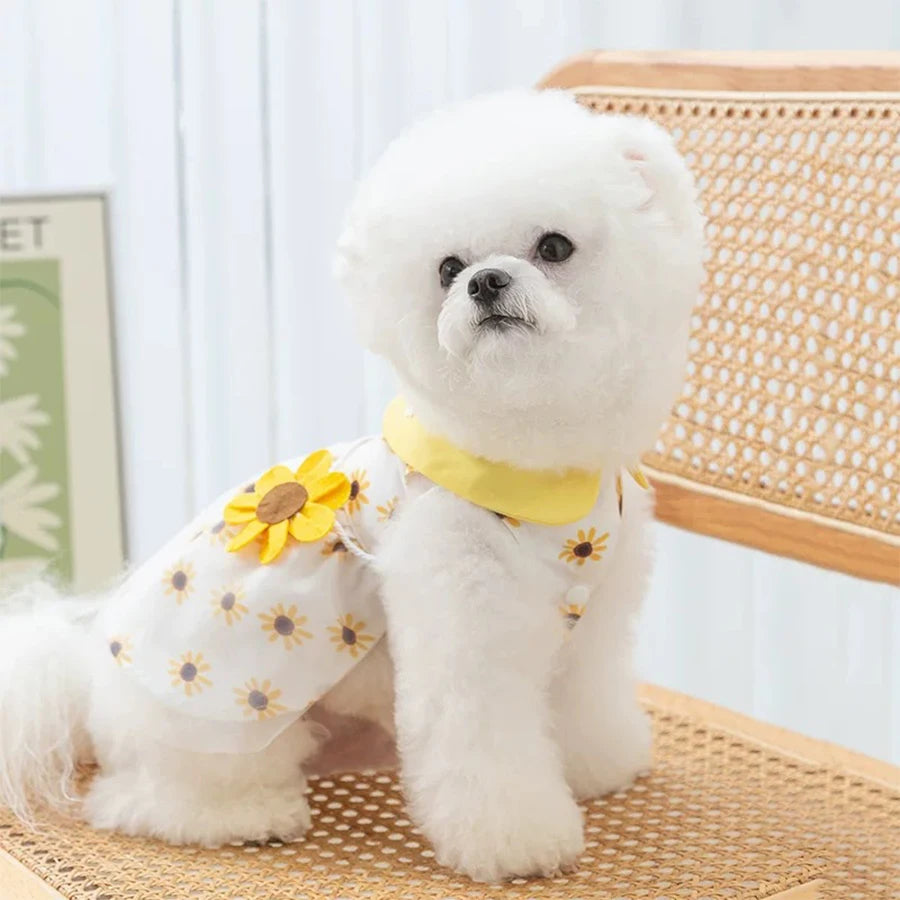 Cute & Comfortable Summer Dog Princess Dress- Breathable Soft Floral Princess Skirt for Small Dogs and Cats by PawHaven