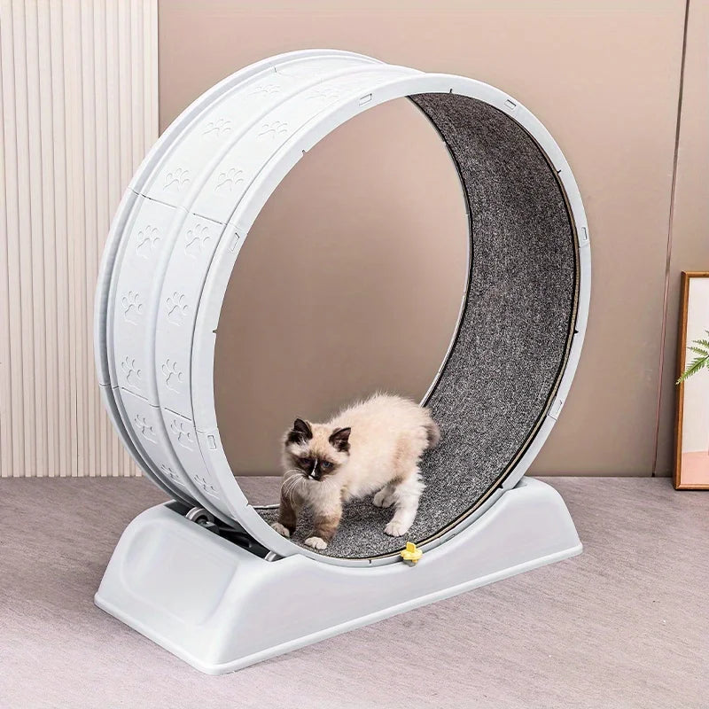 Cat Running Exercise Wheel Treadmill, Ultra-Quiet Safety Cat Training Toy with and Locking Mechanism,Removable Carpeted Runway by PawHaven