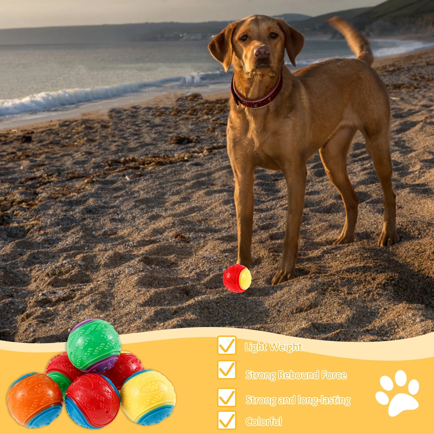 6Pcs Dog Squeaky Balls Toys Interactive Soft TPR Dogs Chew Toy for Pet Teeth Cleaning Bite Resistance Pet dogs accessories by PawHaven