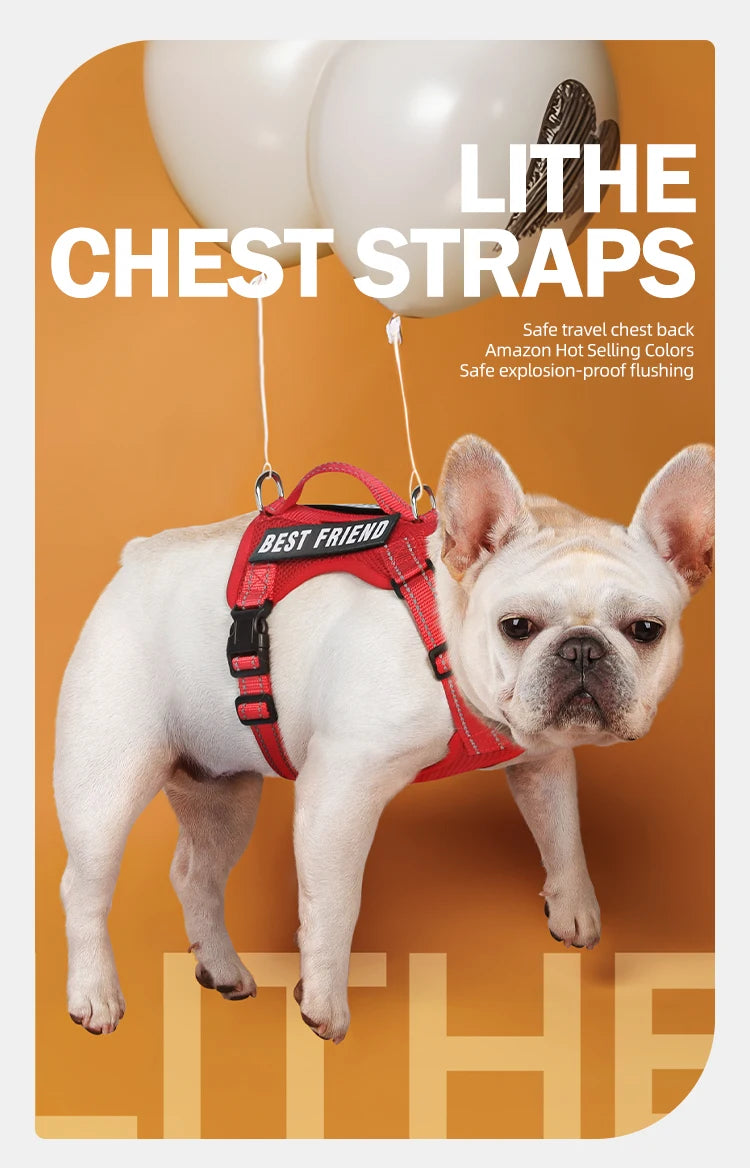 Premium Reflective Vest Harness And Leash Set by PawHaven