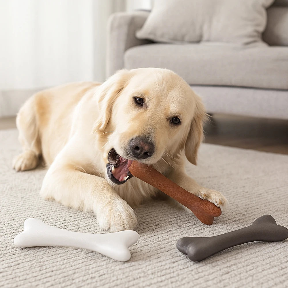 Premium Flavoured Nylon Bone Chew For Dental Care by PawHaven