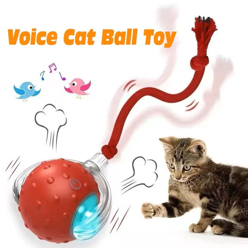 New Cat Interactive Ball Toy,Automatic Rolling Cat Ball Rechargeable,Smart Kitten Interactive Toy,Intelligent Balls Toy for Cat by PawHaven