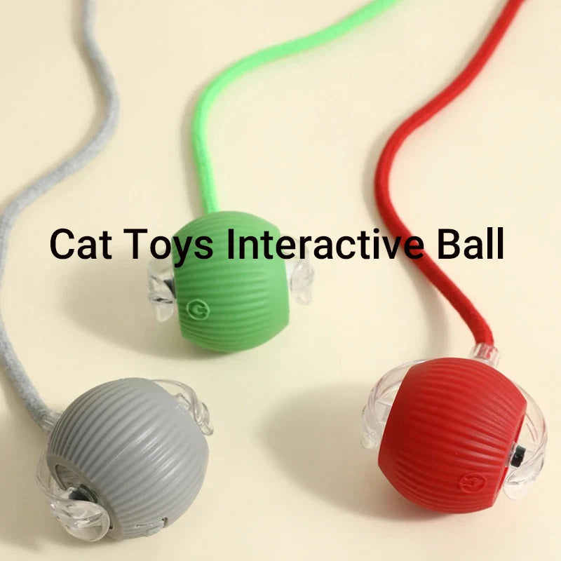 New Cat Interactive Ball Toy,Automatic Rolling Cat Ball Rechargeable,Smart Kitten Interactive Toy,Intelligent Balls Toy for Cat by PawHaven