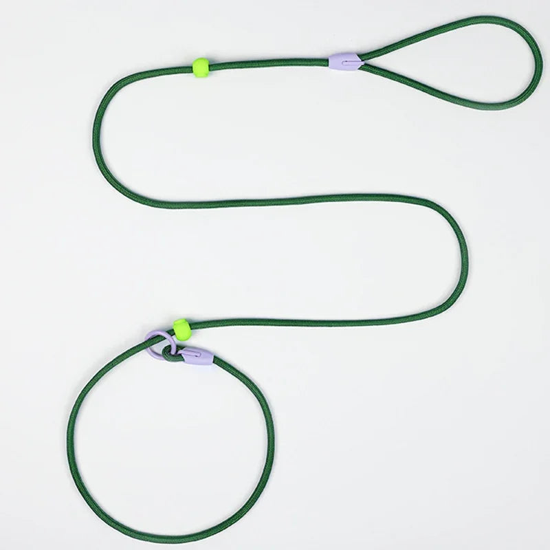 Nylon Colourful Leashes Pet Small Dog Round Rope Lead P Chain Collar Adjustable for Dogs Training Puppy Walking Leash by PawHaven
