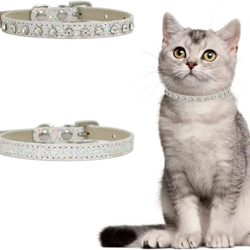 Lux Rhinestone Dog Cat Collar With Crystals by PawHaven