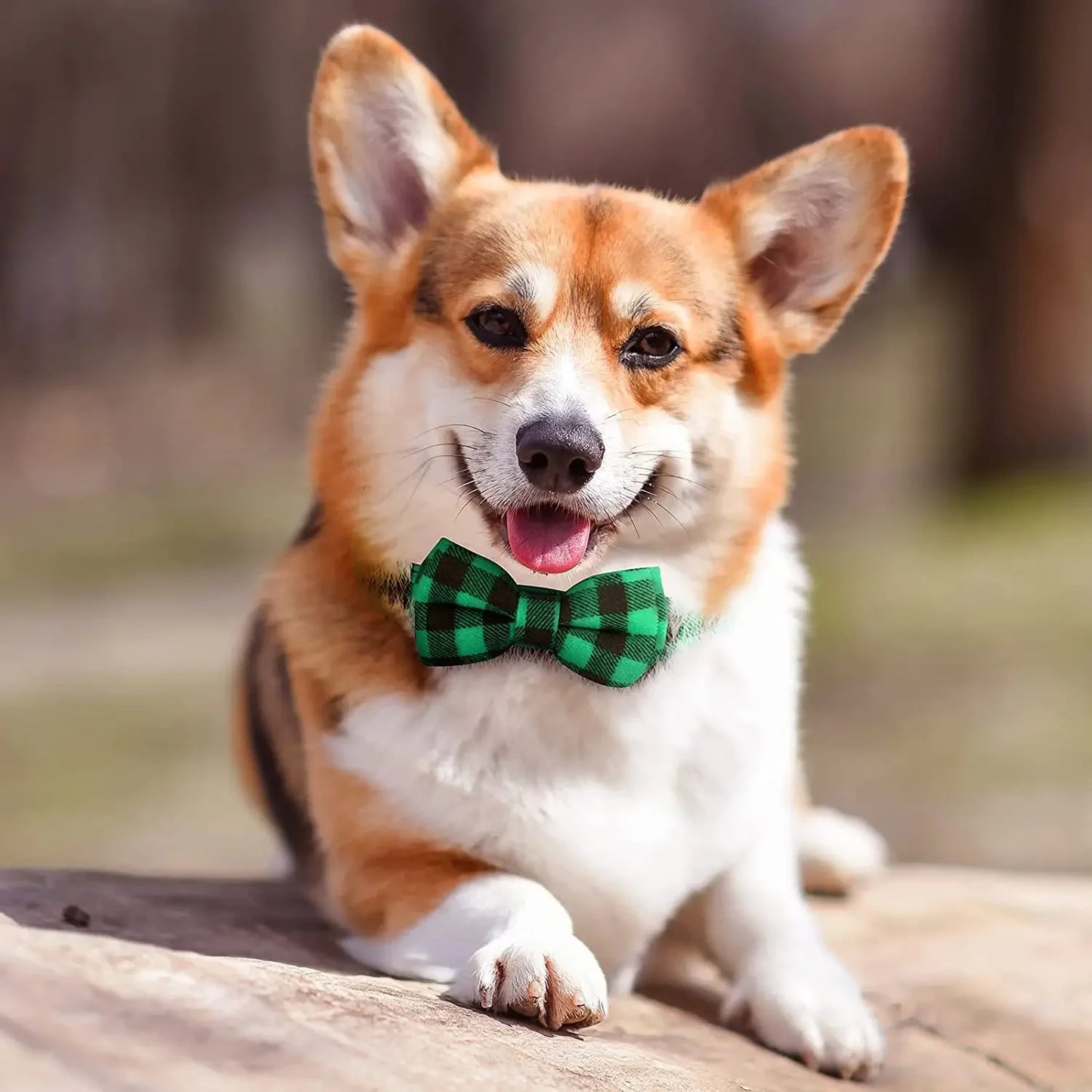 Premium Adjustable Plaid Bow Tie For Dogs And Cats by PawHaven