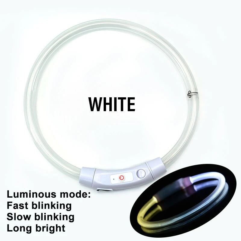 AuroraLux LED Night Collar For Dogs And Cats With 3 Modes by PawHaven