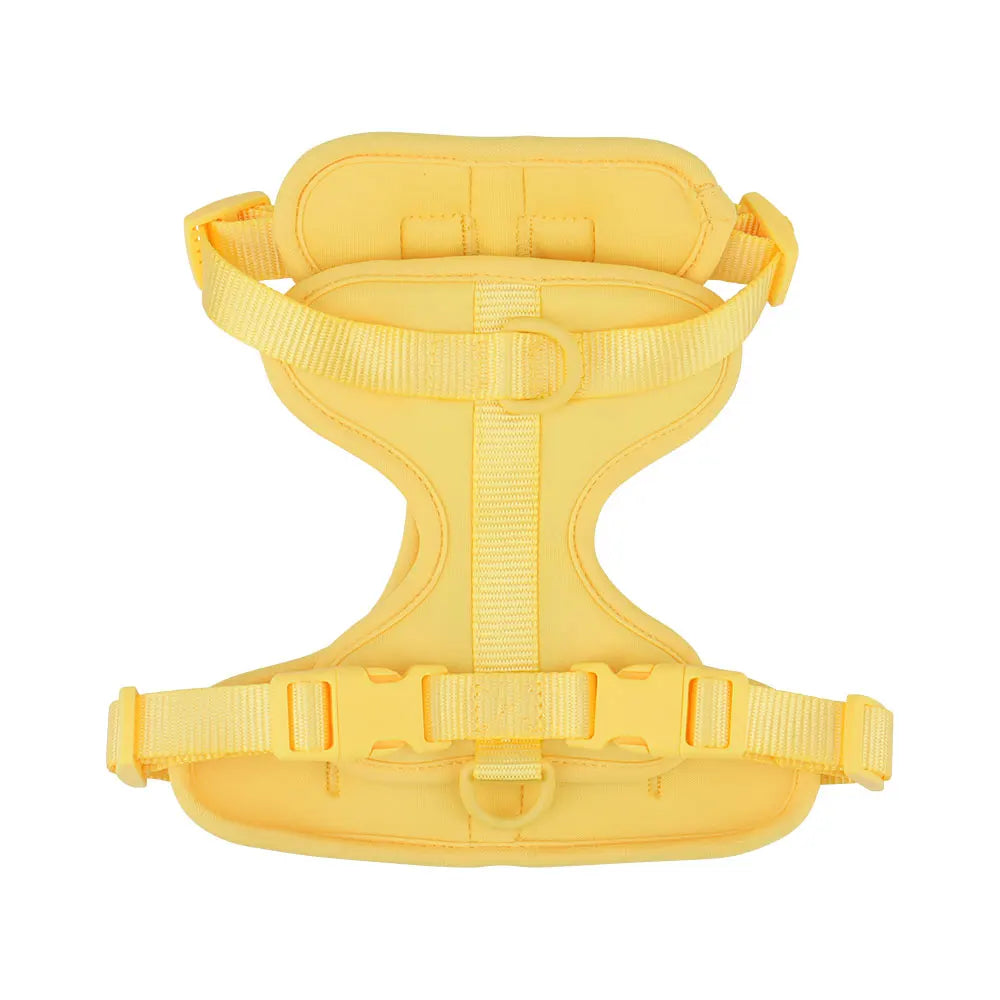 Breathable Lightweight Dog Harness Adjustable Pet Chest Strap Outdoor Walk Training Pet Harenss for Small Medium Dog by PawHaven