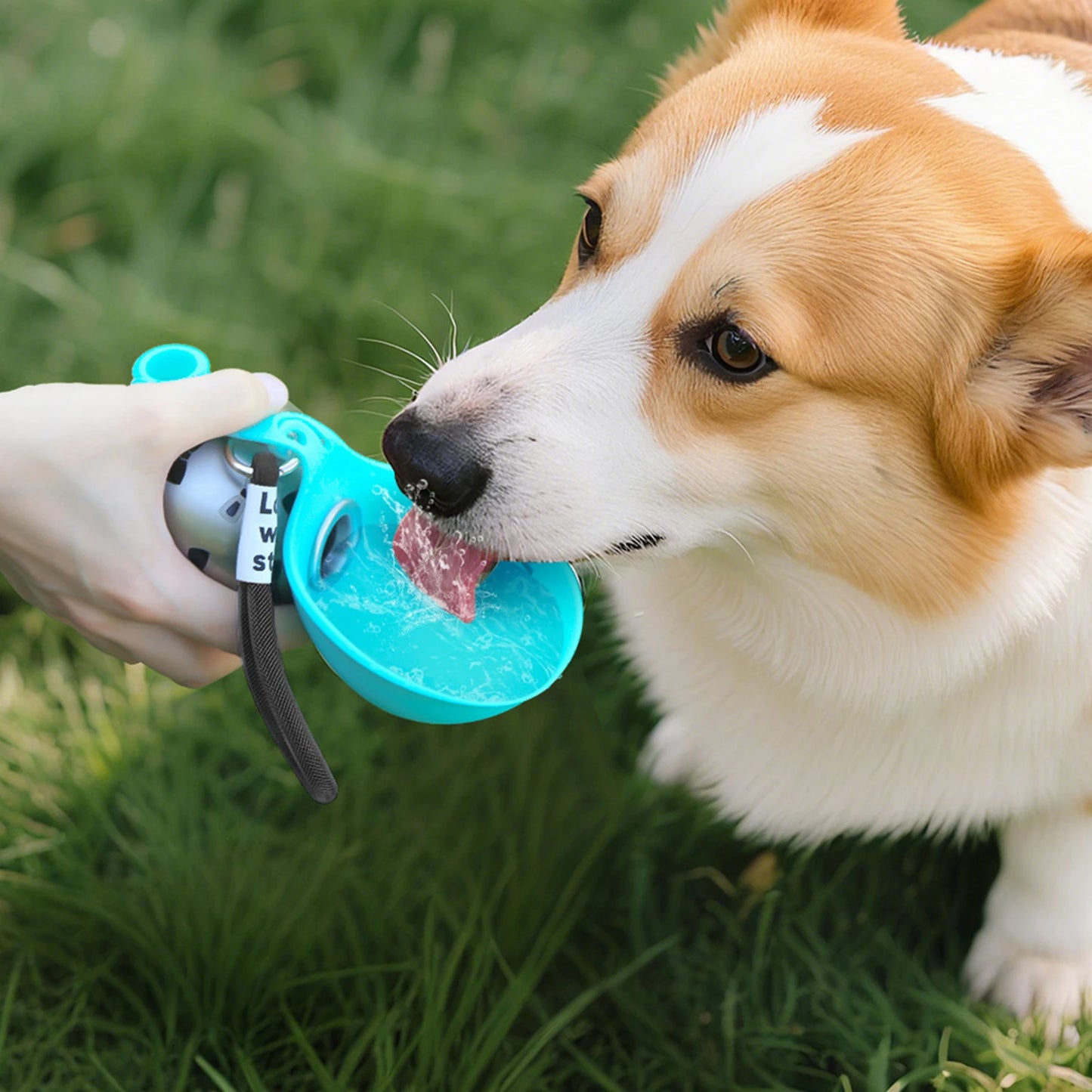 2-In-1 Dog Water Bottle with Silicone Bowl Foldable Pet Water Bottle No-Spill Stainless Steel Ideal for Walking Hiking & Travel by PawHaven
