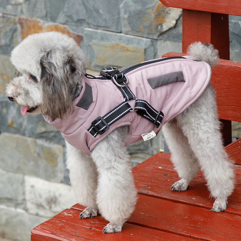 Premium Warm Windproof Dog Jacket With Dual D Rings by PawHaven