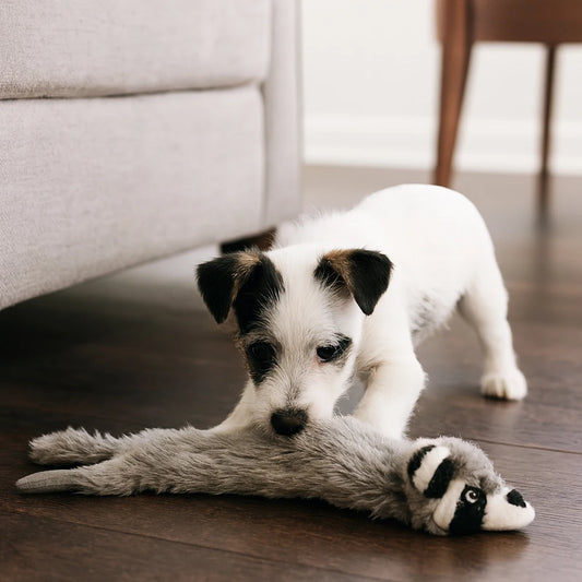 Premium Dual Squeaking Raccoon Plush Dog Toy by PawHaven