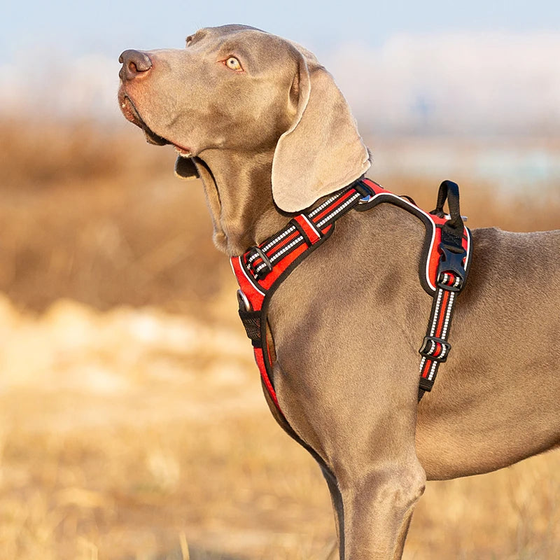 Premium Reflective Dog Vest Harness With Nylon Padding by PawHaven