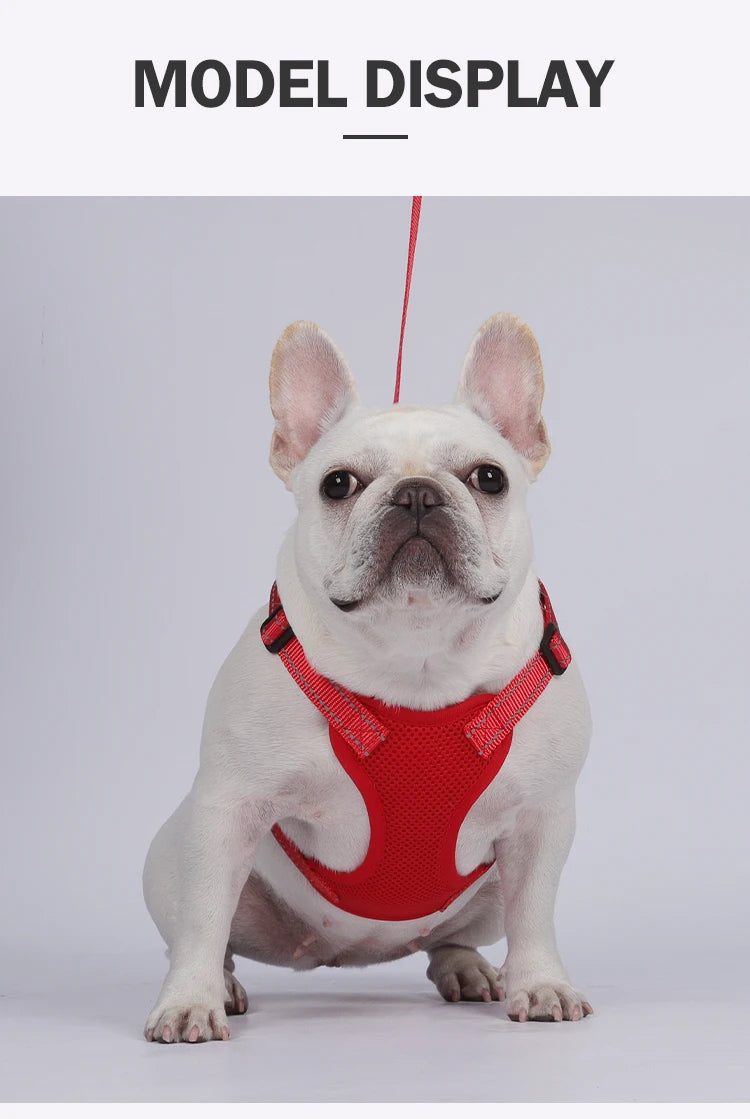 Premium Reflective Vest Harness And Leash Set by PawHaven