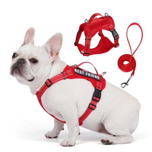 Premium Reflective Vest Harness And Leash Set by PawHaven