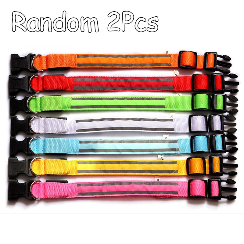 Premium Nylon Night Safety Glow Dog Collar by PawHaven