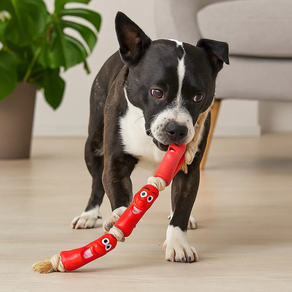 Sausage Rope Dog Toy, Durable Non-Toxic Interactive Chew and Tug Play for Training and Fun by PawHaven