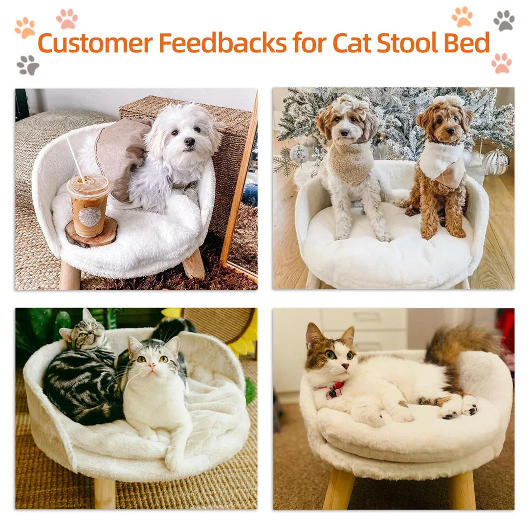Luxury Cat Bed Soft Warm Plush Fabric Pet Nesting Chair Bed Stool Wood Legs with Cushion Pad Washable Waterproof for Small Pets by PawHaven