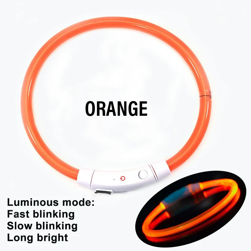 AuroraLux LED Night Collar For Dogs And Cats With 3 Modes by PawHaven