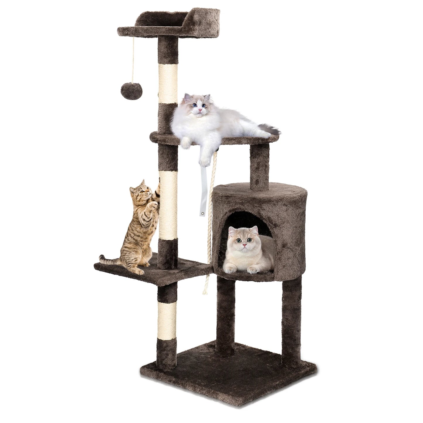 Passerscat Cat Trees Cat Climbing Frame For Indoor Cats Multi-Level With Scratching Posts Cat Tower Padded Top Perches and Condo by PawHaven
