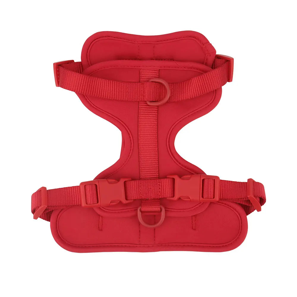 Breathable Lightweight Dog Harness Adjustable Pet Chest Strap Outdoor Walk Training Pet Harenss for Small Medium Dog by PawHaven