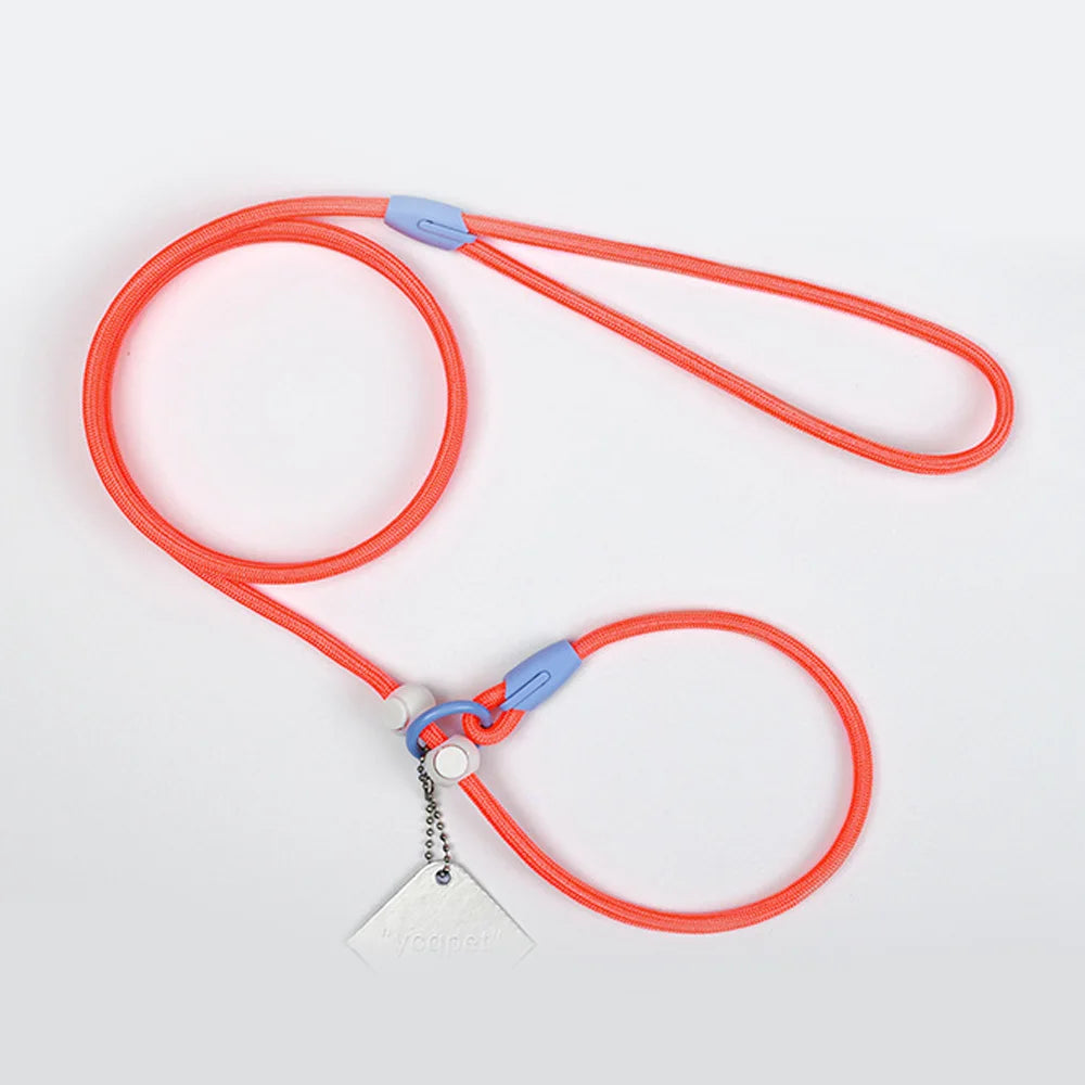 Nylon Colourful Leashes Pet Small Dog Round Rope Lead P Chain Collar Adjustable for Dogs Training Puppy Walking Leash by PawHaven