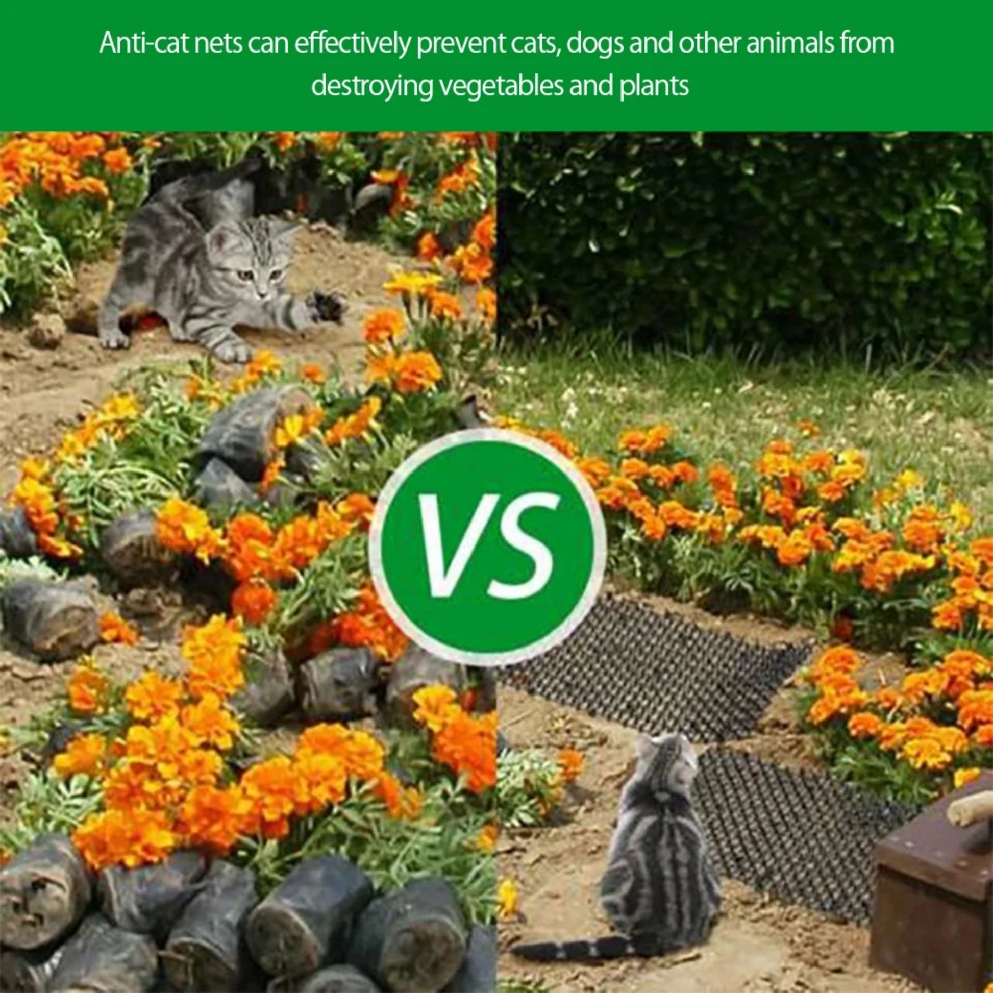 Cat-Proof Mat with Spikes for Vegetable Garden Durable Protection against Cats And Dogs Ideal for Gardening And Plant Care by PawHaven
