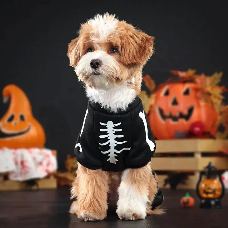Halloween Dog Dress Pet Costume with Wings Cute Party Outfit Festival Clothing for Dogs by PawHaven