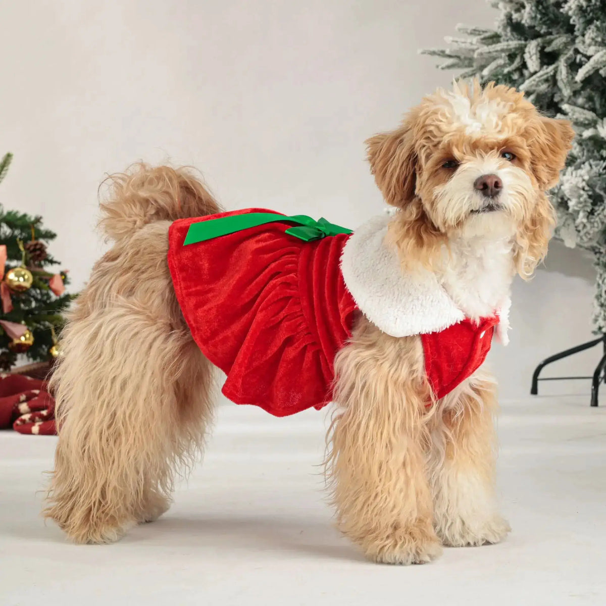 Christmas Velvet Dog Dress with Furry Collar, Festive Pet Outfit for Small & Medium Dogs by PawHaven
