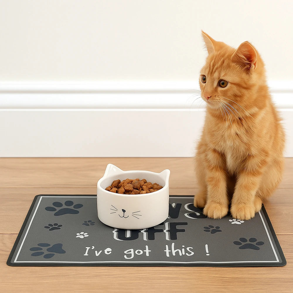 Premium Non Slip Waterproof Pet Feeding Mat Easy Clean by PawHaven