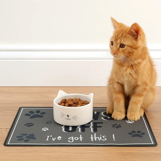 Premium Non Slip Waterproof Pet Feeding Mat Easy Clean by PawHaven