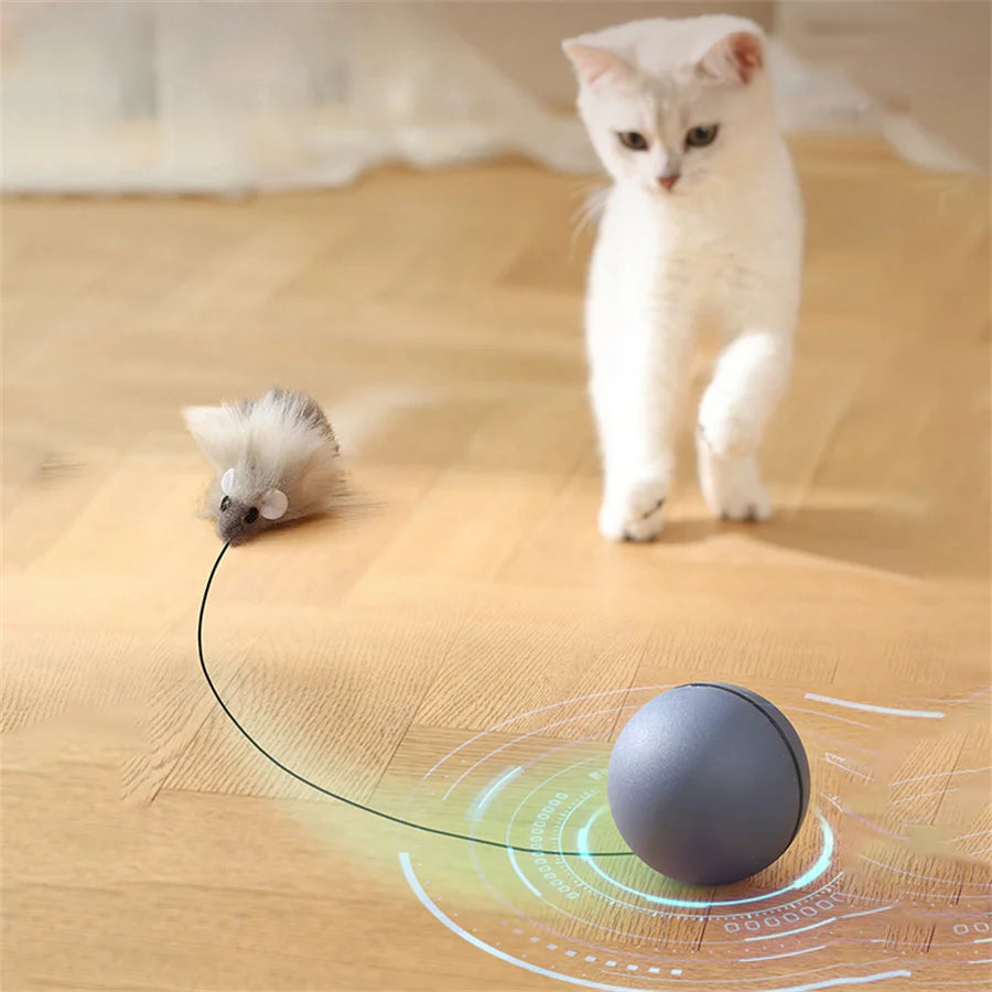 "Battery-Operated" Interactive Cat Toy Ball With Tracking Mouse - Automatic Rolling Teaser For All Breeds, Battery-Powered (Batt by PawHaven