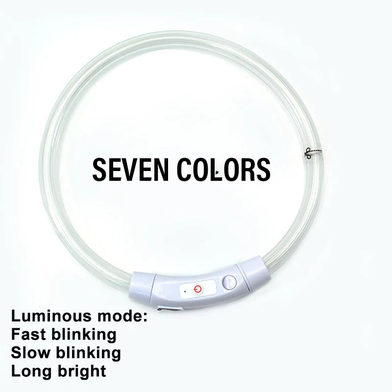 AuroraLux LED Night Collar For Dogs And Cats With 3 Modes by PawHaven