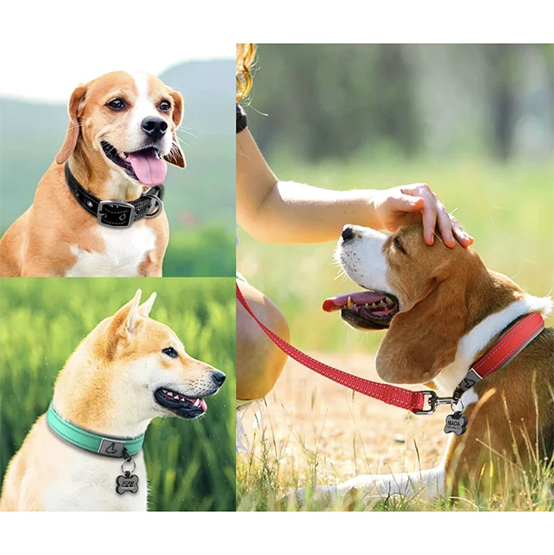 Premium Padded Reflective Dog Collar Adjustable Nylon by PawHaven
