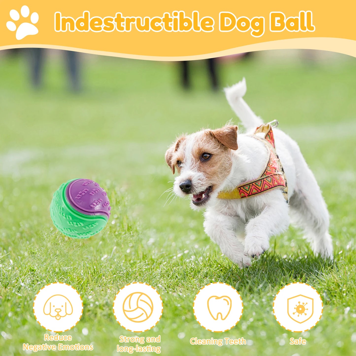 6Pcs Dog Squeaky Balls Toys Interactive Soft TPR Dogs Chew Toy for Pet Teeth Cleaning Bite Resistance Pet dogs accessories by PawHaven