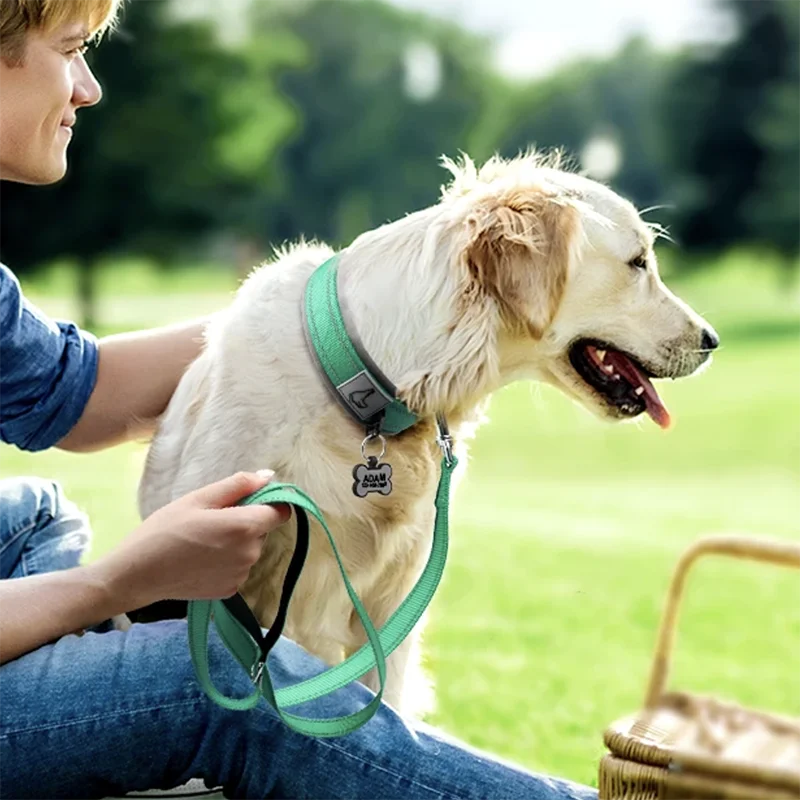 Premium Padded Reflective Dog Collar Adjustable Nylon by PawHaven