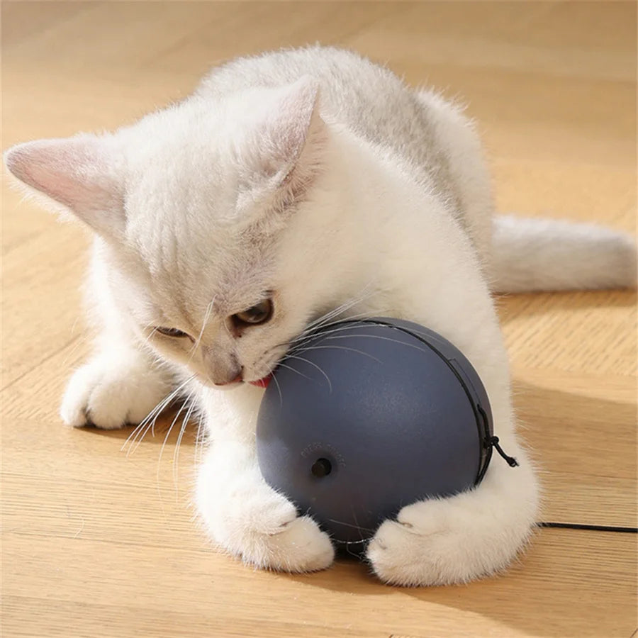 "Battery-Operated" Interactive Cat Toy Ball With Tracking Mouse - Automatic Rolling Teaser For All Breeds, Battery-Powered (Batt by PawHaven
