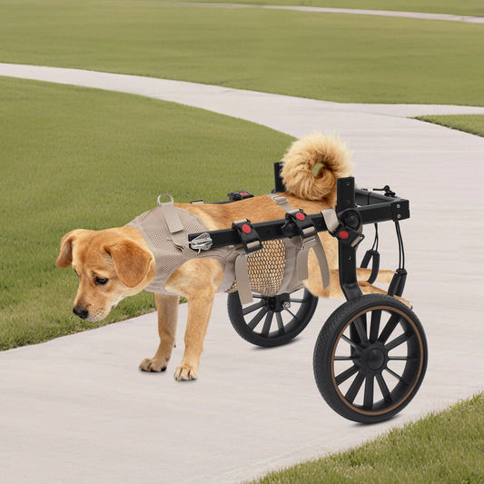 Adjustable Dog Wheelchair Hind Leg Rehabilitation Walker, Aluminum Alloy Pet Walking Aid Cart for Disabled & Senior Dogs by PawHaven
